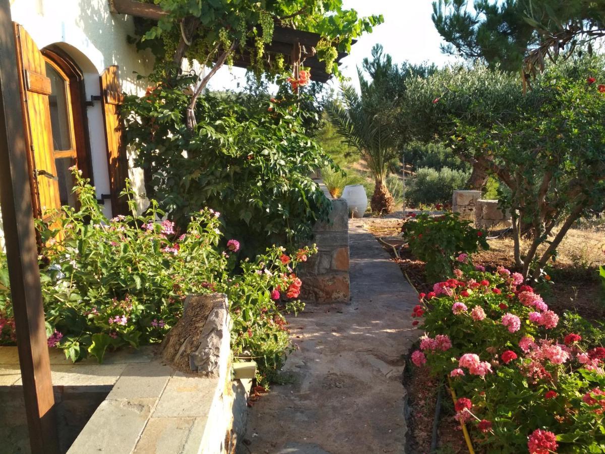 Porto Heli Apartments Palekastro Exterior foto